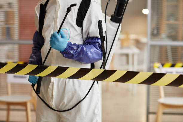 Professional Sewage Cleanup technician working in Wharton, TX